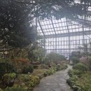 개방