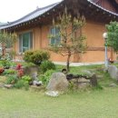 유영숙공인중개사사무소 이미지