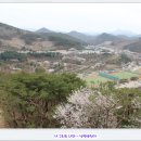 청풍하키장 이미지