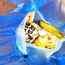 문수야구장 | 불꽃야구 세번째 직관 울산 문수야구장 자유석 후기 (vs 강릉고)