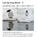 토브몰 이미지