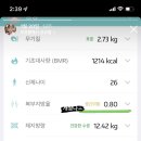 (주)에스비푸드 네이버블로그