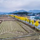 고성종합운동장 가는길 이미지