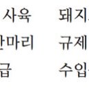 마흔살축산