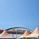 태안 꽃 축제 코리아플라워파크 2번 다녀온 찐 후기! 꿀팁 +애견동반 가능+해물파전 맛집