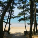 태릉입구역 3번출구 버스정류장 이미지