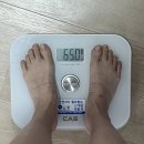 자연봄한의원 | 다이어트환 체감환 광주다이어트한의원 한달 내돈내산 후기