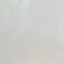 광교리본한의원 이미지