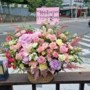 남일 약국 이미지