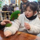 앵무세상 이미지