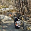 서울대공원 캠핑장 | 과천 서울대공원캠핑장 주말후기