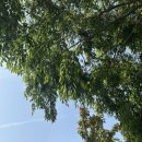 리멤버펜션 - 태안군 누동로 19 | [제부도 아기랑 갈만한 곳] 펜션 리멤버8, 칼국수 어부의집