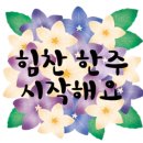 흥부네생고기보쌈