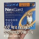 온누리약국 | 종로 약국성지 넥스가드 온누리 사용 가능 약국 내돈내산 발품후기