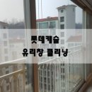 양지크린 이미지
