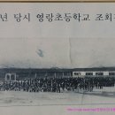 영랑초등학교 이미지