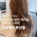부산사상미용실추천 | <모라헤어 부산점>에서 컷트 드라이 받고 온 후기