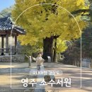 영주 소수서원 | 경북 영주 가족여행 가볼만한곳 소수서원