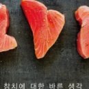 노성일참치 이미지