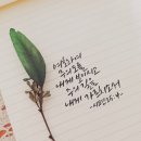 예랑캘리