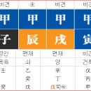 진술충(辰戌沖)으로 피부질환 발생한다. 이미지