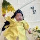 내 돈 내산: 셀프 백일상 대여 서울 종로 떡집 백일떡 의미 백일떡 종류