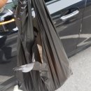 이대조뼈다귀 이미지