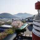 온천단지 가로수길 이미지