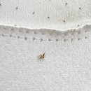 제천친환경대중골프장 | 에콜리안 정선 골프장 노캐디 대중골프장