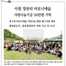 법인우드앤홈 이미지