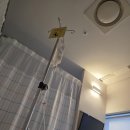 일산병원 | 일산 허유재병원 자궁근종 수술후기 입원,통증,비용