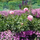 오솔길 농장 이미지