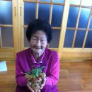 오룡경로당 Daum카페