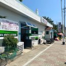 제비호식당 | 2023 고성 여행 :: 고성 거진항 제비호식당 생선모듬조림 후기