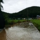 안곡농장 이미지