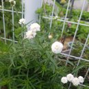 한림정역 이미지