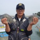 목포바지선포인트선상 이미지