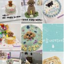 럽잇(Love it) | 【수원/광교/영통】 아브뉴트랑 강아지 수제 간식, 케이크 제작 애견 용품 숍 럽 잇, 럽 잇 내돈내산 후기