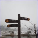 수원팔색길 매실길 이미지