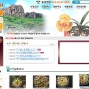 한국춘란전문난원 이미지