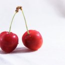 체리 이미지
