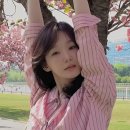 크롭체크코리아 | 강민경 제니 벚꽃룩 비교로 보는 올봄 코디 가이드