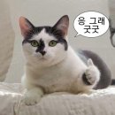 10번가 네이버블로그