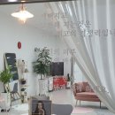 인셀덤숲 이미지