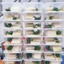 거여초교병설유치원 이미지