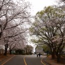 순천금당고등학교 이미지