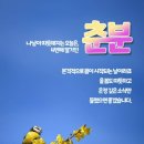 봉수로가로수 이미지