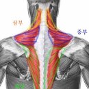 성신사우나 이미지