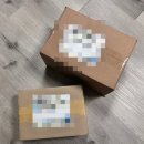 플러스웨딩결혼정보 | 웨딩속옷 추천 | 플라이코지 누브라 세트 드레스투어 착용 후기