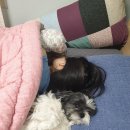 아토아리아